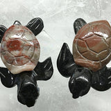 Gemstone Sea Turtles Pair - New Earth Gifts