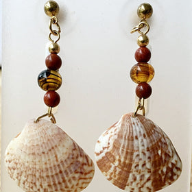 Florida Seashell Earrings Cockle Shell - New Earth Gifts