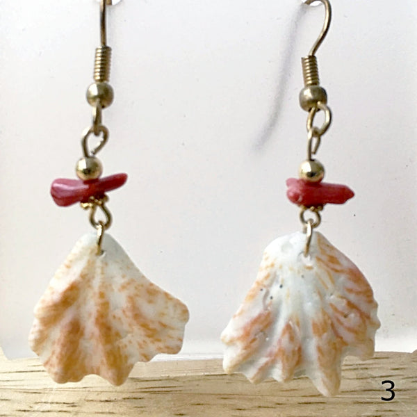 Florida Seashell Earrings Carrier Shell 14kt Gold Findings -New Earth Gifts