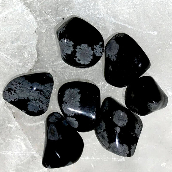 Snowflake Obsidian 1 pc Tumbled Stone -New Earth Gifts