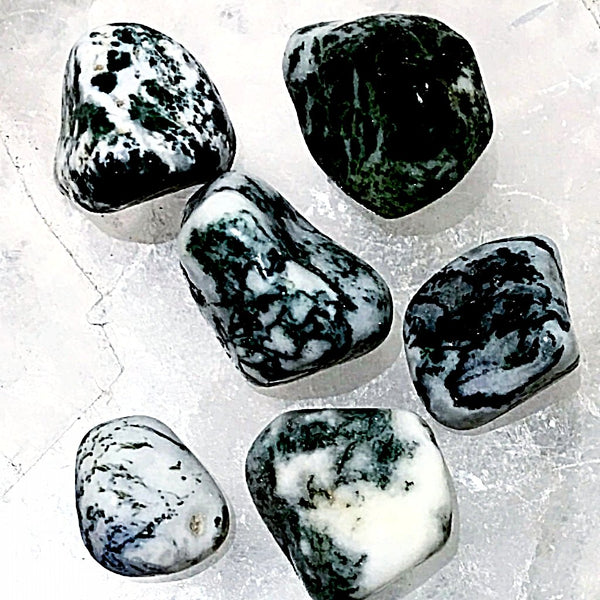 Tree Agate Tumbled Stone 1 pc - New Earth Gifts