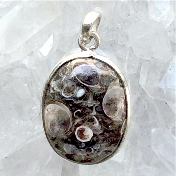 Turritella Agate Oval Sterling Pendant - New Earth Gifts