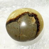 Septarian 1 Pc Tumbled Stones | New Earth Gifts