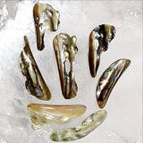 Abalone Slices - New Earth Gifts and Beads